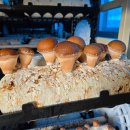 환영농장 이미지