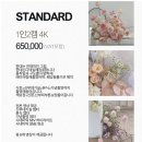 [W.06 본식DVD] 가성비, 가심비 흐르는 본식 DVD 찾기 여정 !! 30~50만원대 본식 DVD 추천 리스트😎
