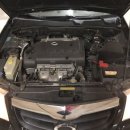 뉴제네레이션 이미지