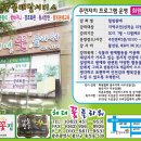해태플라워