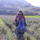 한방농장 이미지