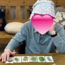 수원-0389 이미지