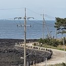 비양도 봄날 민박 이미지