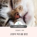 청학동물병원 이미지