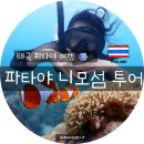 신일종합정비 | 니모&#39;를 만난 날 🐠 | 친구와 함께한 스노클링 &amp; 인생샷 후기/수박투어 프라이빗 픽업 &amp; 조인 투어 후기