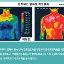 점핑핏카