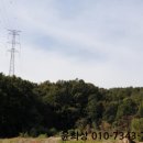 분당-51 네이버블로그