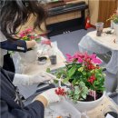 직장인 힐링 원예치료 이미지