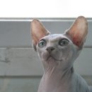 대순농장 이미지