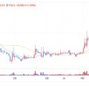 xrp 장대+re+장대 (+3.73%) 이미지