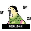 올시즌스커피