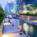 라인댄스(중급) 이미지