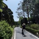 [세종시 여행] 주말에 아이랑 가볼만한곳, 세종 베어트리파크 유모차 동선 및 식당 꿀팁