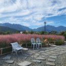 바다마을(본점) 이미지