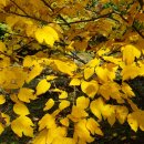 나무와 친해지기 이미지