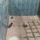 임상복내과의원 이미지