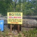 46 | 경북 성주 카페 추천 | 자연 속 힐링 가능한 성주 대형 카페 우디1155 후기