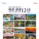 12 이미지