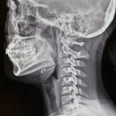 새본 정형외과의원 이미지