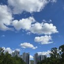 2024 과천공연예술축제 | 2024과천공연예술축제 싸이콘서트 불꽃쇼 후기 일상포토덤프챌린지