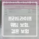 호람갤러리웨딩 | 프리드라이프 결혼보험 웨딩보험 후기