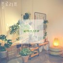 플로리프 네이버블로그