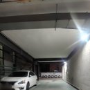 본래순대 천호공원점 이미지