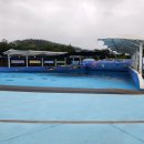 회산백련지 만남의 광장 이미지