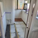 당리태권도 이미지