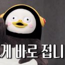 시앤유 | 전주 결혼식 전문 사회자 앤유 김동건 대표 계약 후기