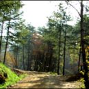 방동분교 이미지