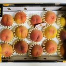 김종달농장 | 복숭아를 먹어보자 : 황도 골드 (피치앤피치)