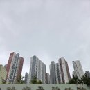 가얏골감자탕 부산금곡점 | 부산용호동감자탕 가얏골감자탕 용호점 진한 국물과 야들한 고기 우거지감자탕 볶음밥 후기