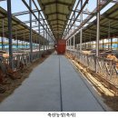 중우농장 이미지