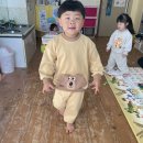 12.2주 무궁화 꽃이 피었습니다. 이미지