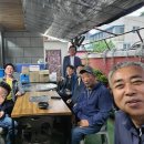 오늘은칼국수 Daum카페