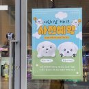 씨유 의정신촌본점 | [신촌~홍대~연남동] 실패없는 쇼핑 핫플 데이트코스 유플렉스 팝업,디즈니,AK플라자 홍대점,배쓰앤바디...