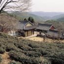 대중화 이미지