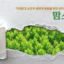 뉴러브몰 이미지