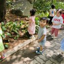 매미 유충껍질을 찾아요!🌿 (새싹반 세희도 함께!) 이미지