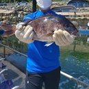 산으로 간 낚시꾼 | 삼천포여행으로 최고인 이곳 산으로간낚시꾼