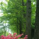 삼풍가든 이미지