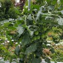 우리펜션민박 이미지