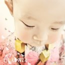 플라잉 브러쉬 이미지