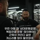 씨범이 말하는 삼대운동 Vs 머신운동 이미지