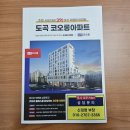 럭키문화아파트 | 강남 역삼럭키아파트 임장 후기(양재역)