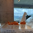 산들 강아지 | 가평 애견동반 카페 아기랑 강아지랑 방문 후기 [제피르 산들바람 가평관광농원]