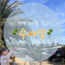 저상목장 | 제주 애월 수야담 18개월 아기랑 가볼만한 내돈내산 추천 숙소
