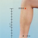 음릉천(陰陵泉) 다리의 붓기를 빼주는 혈자리 이미지