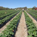 보신농장 이미지